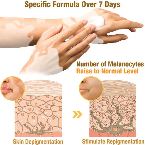 Revitalizing Bee Venom Cream